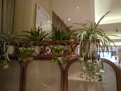 -锦粤宫·融合粤菜(上海金沙江店)