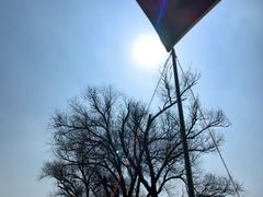 -玄武湖景区-情侣园游乐场