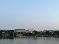 -羊山湖公园