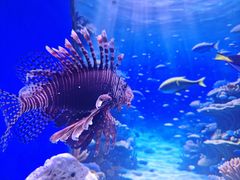 -多彩贵州城极地海洋世界