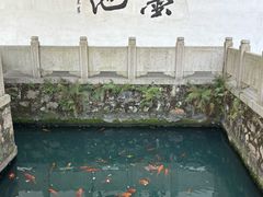 -墨池公园