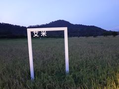 -艾米稻香小镇