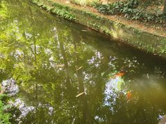 -成都杜甫草堂博物馆