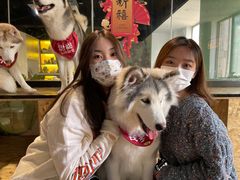 -Husky Go! 哈士奇体验馆·宠物咖啡厅狗咖