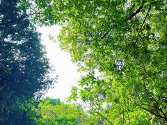 -广州市白云山风景名胜区