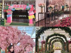 -盈香心动乐园