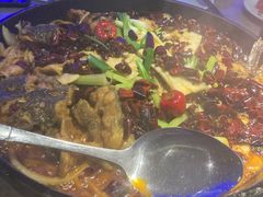 -老板恋上鱼(恒隆广场店)