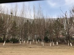 -长春净月潭喜来登酒店·盛宴标帜餐厅