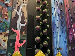 -运动派(北京店)
