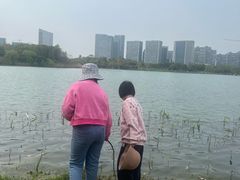 -桐乡凤凰湖