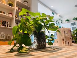 点击看大图 -巴黎拉斐派瑞美发沙龙
