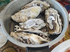 -大孩龙虾(体育场旗舰店)