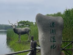 -溱湖国家湿地公园