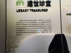 -四川大学博物馆