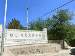 -红山国家森林公园