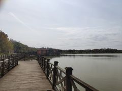 -上海海湾国家森林公园