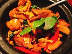 三杯鸡-芒果爆爆(东海缤纷店)