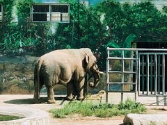 -西安秦岭野生动物园
