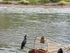 -桂林兴坪漓江