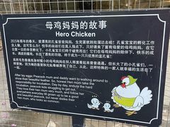 -厦门悦华酒店