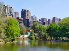 -长白岛森林公园