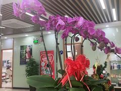 -茂菊口腔连锁(浦东南路店)