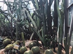 -华南国家植物园-售票处