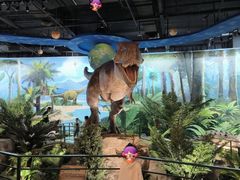 -陕西自然博物馆