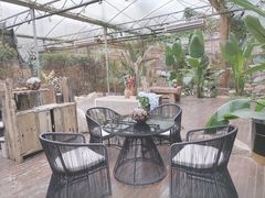 -桉树林A coffee 森林餐厅(三圣乡店)