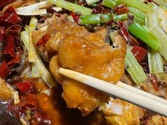 -老板恋上鱼(印象城店)