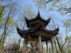 -岳麓山风景名胜区