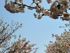 -观澜湖生态运动公社