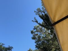 -云禾壹海景庄园餐厅