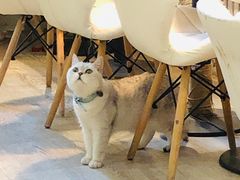 -小时光咖啡馆(北锣鼓巷店)