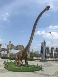 -恐龙探索乐园(磁器口店)