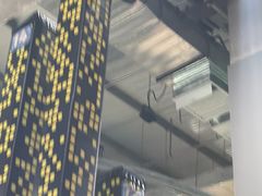 -运动派(北京店)