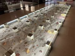 -青岛贝壳博物馆