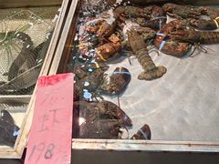 -湛江渔港·大排档(乐园路总店)