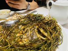 葱烤鸦片鱼头-新吉士·上海菜(浦东LCM置汇旭辉店)