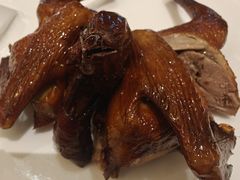 -锦粤宫·精致粤菜(深圳北站店)