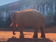 -昆明动物园