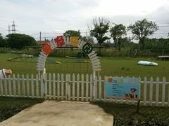 -上海长兴岛郊野公园