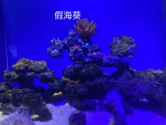 -常州海昌海洋探索馆