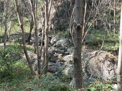 -云岫谷自然风景区