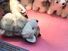 -爱玩嘉年华(成都北城天街店)
