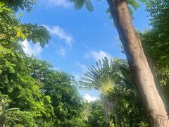 -三亚凤凰水城凯莱度假酒店