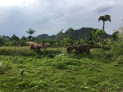 -龙谷湾旅游休闲度假区