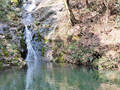 -宁波市保国寺古建筑博物馆