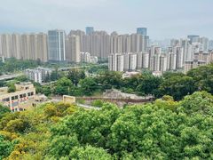 -金鸡山公园