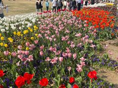 -苏州上方山国家森林公园
